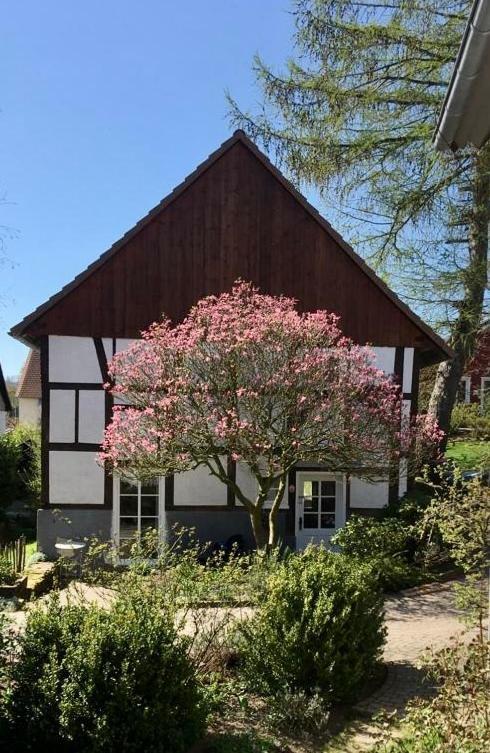 Gemuetliches Ferienhaus Im Extertal/ Lippe מראה חיצוני תמונה