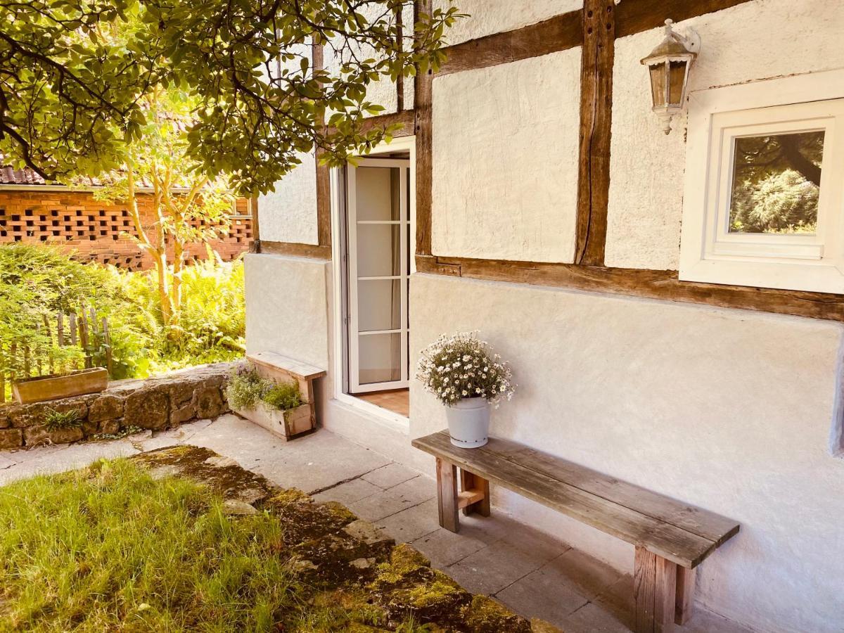 Gemuetliches Ferienhaus Im Extertal/ Lippe מראה חיצוני תמונה